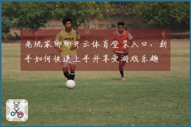 老玩家聊聊开云体育登录入口，新手如何快速上手并享受游戏乐趣