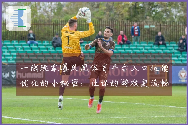 一线玩家曝凤凰体育平台入口性能优化的小秘密，让你的游戏更流畅！
