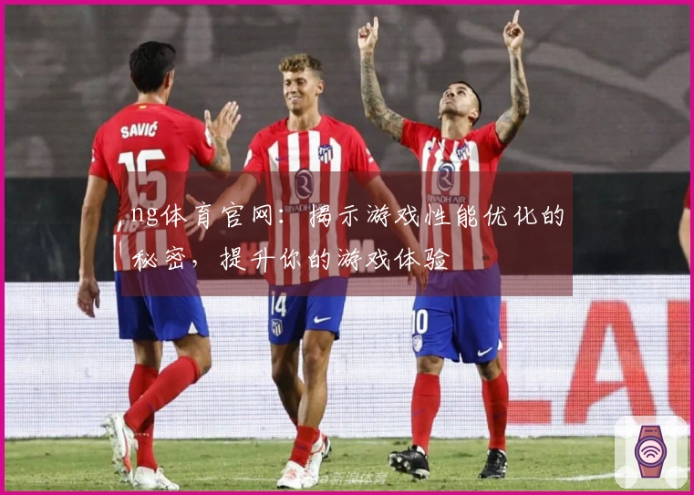 ng体育官网：揭示游戏性能优化的秘密，提升你的游戏体验