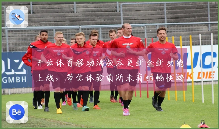 开云体育移动端版本更新全新功能上线，带你体验前所未有的畅快游戏！
