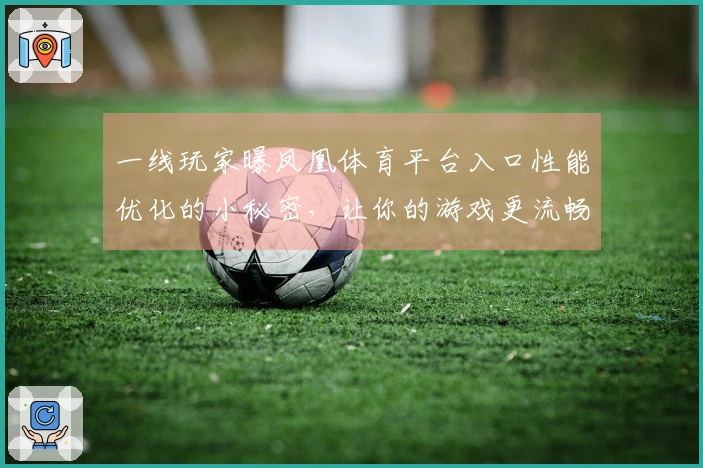 一线玩家曝凤凰体育平台入口性能优化的小秘密，让你的游戏更流畅！