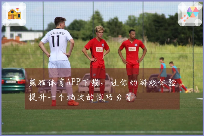熊猫体育APP下载，让你的游戏体验提升一个档次的技巧分享